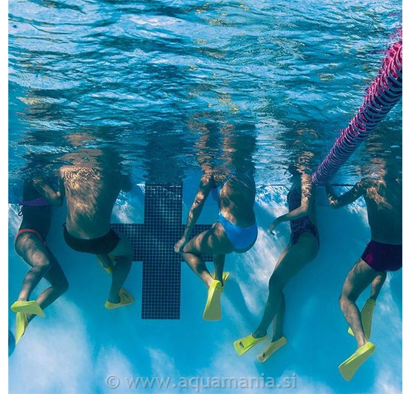 ZOOMERS GOLD - FINIS