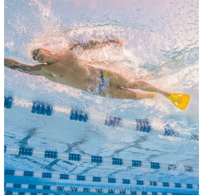 EDGE FIN - FINIS