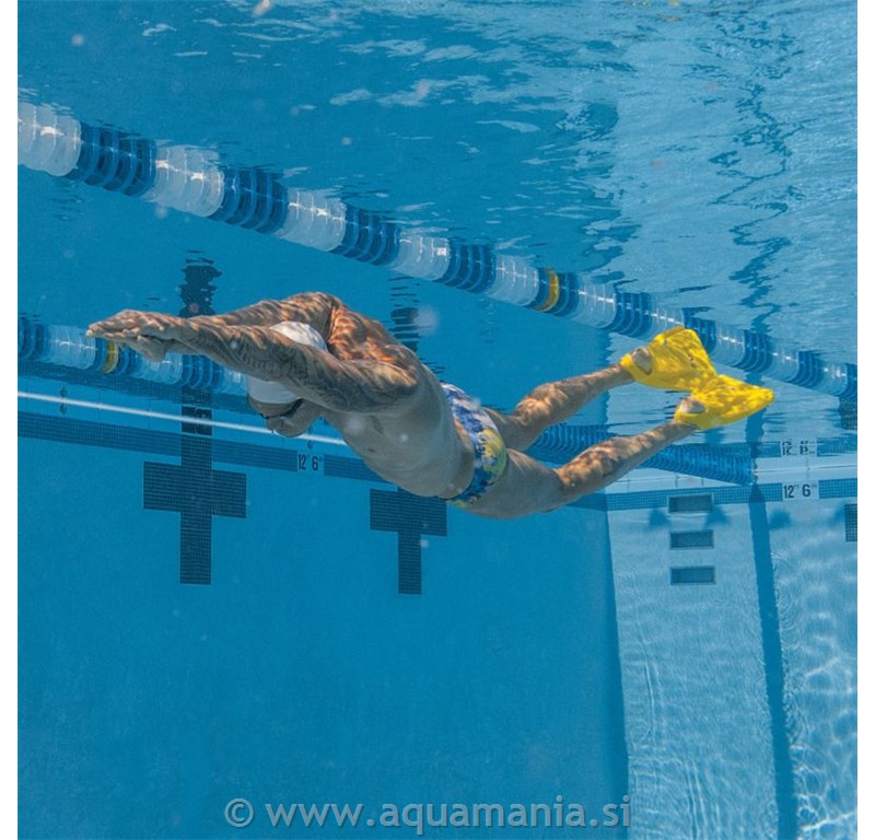 EDGE FIN - FINIS
