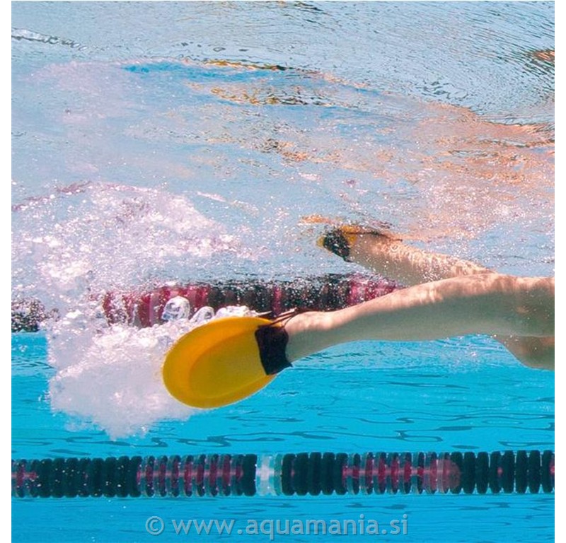 PDF - FINIS
